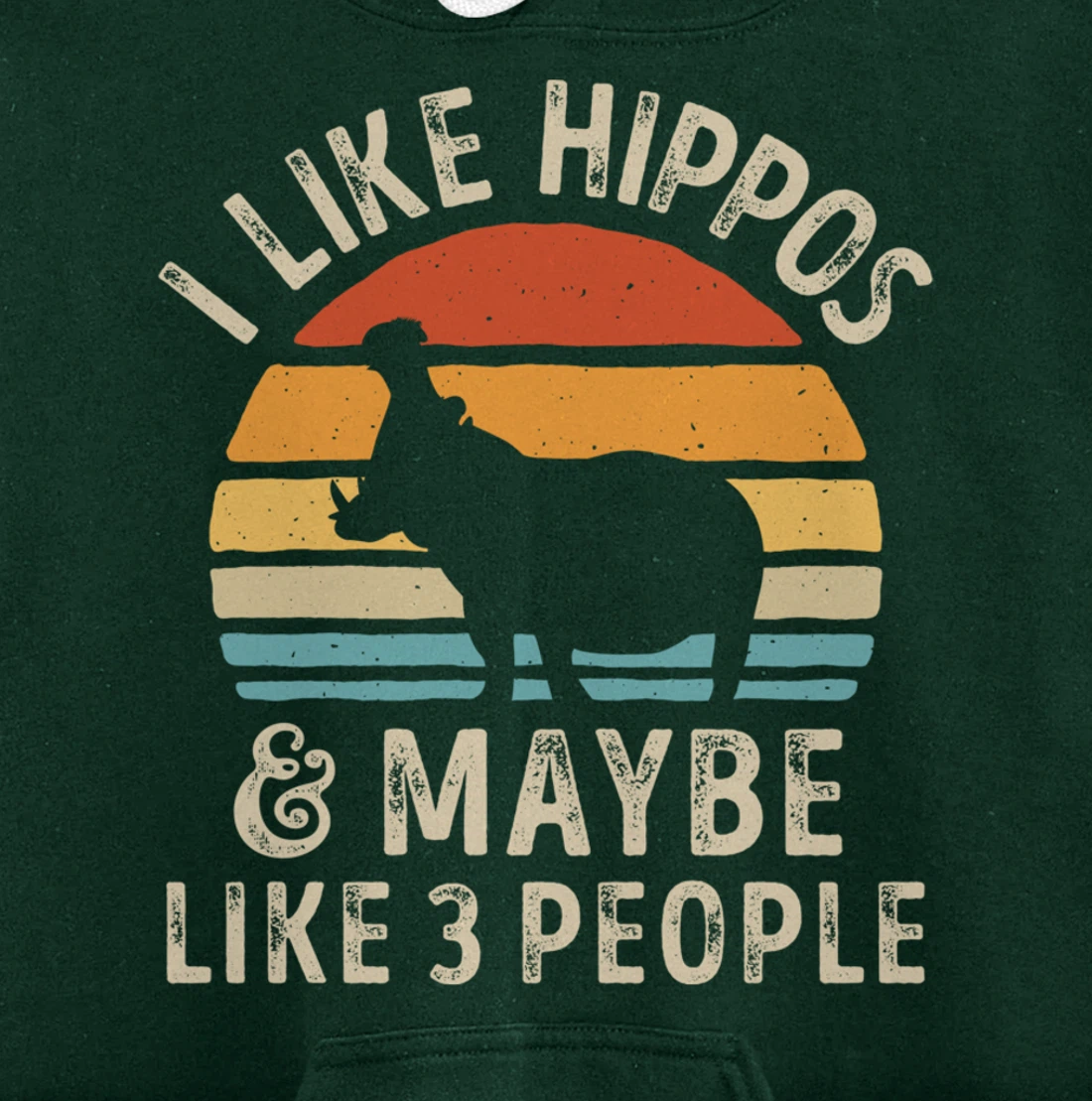 I Like Hippos And Maybe Like 3 People Hippo Hippopotamus Pullover Hoodie