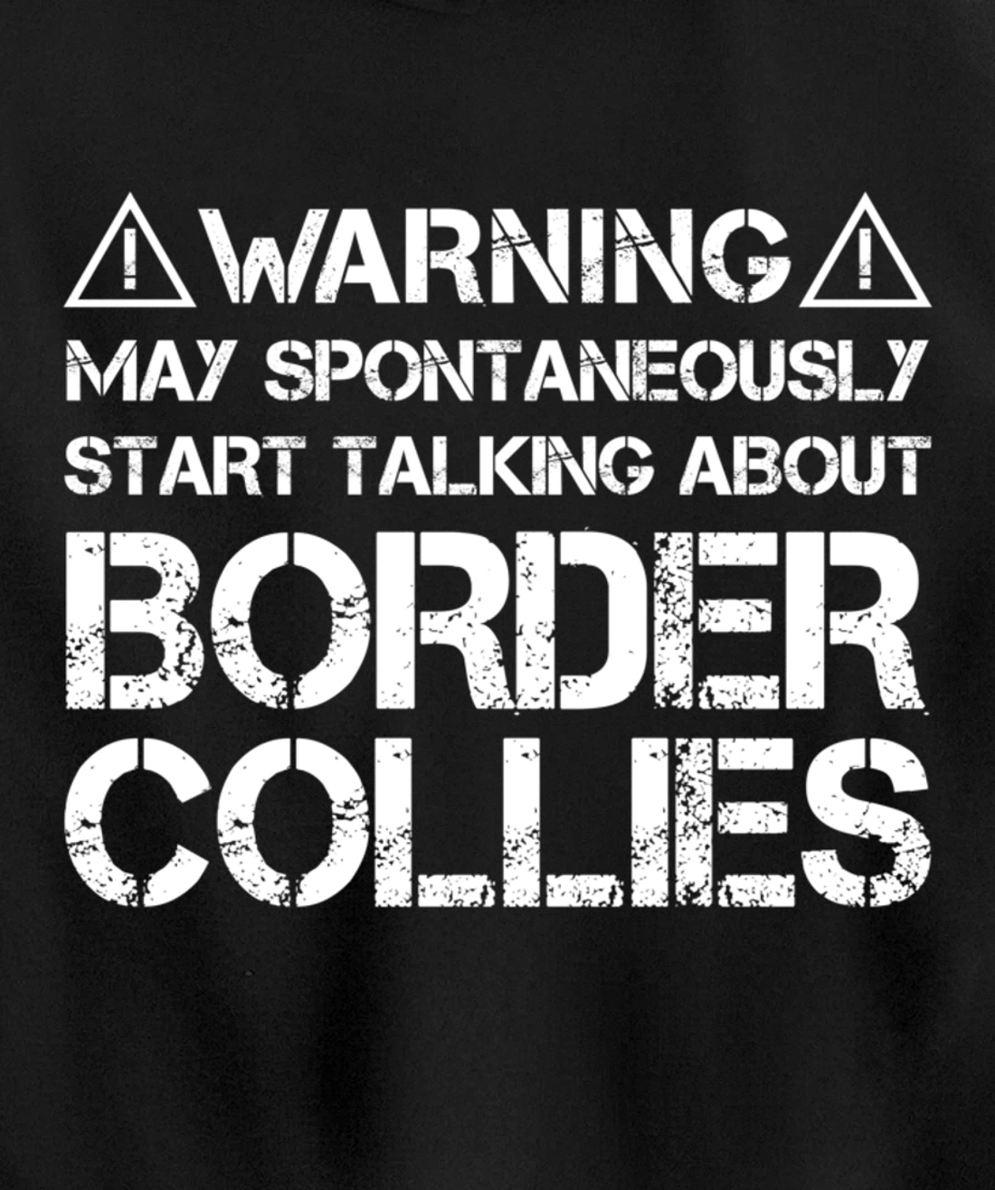 Warning May Start Talking About Border Collies Pullover Hoodie