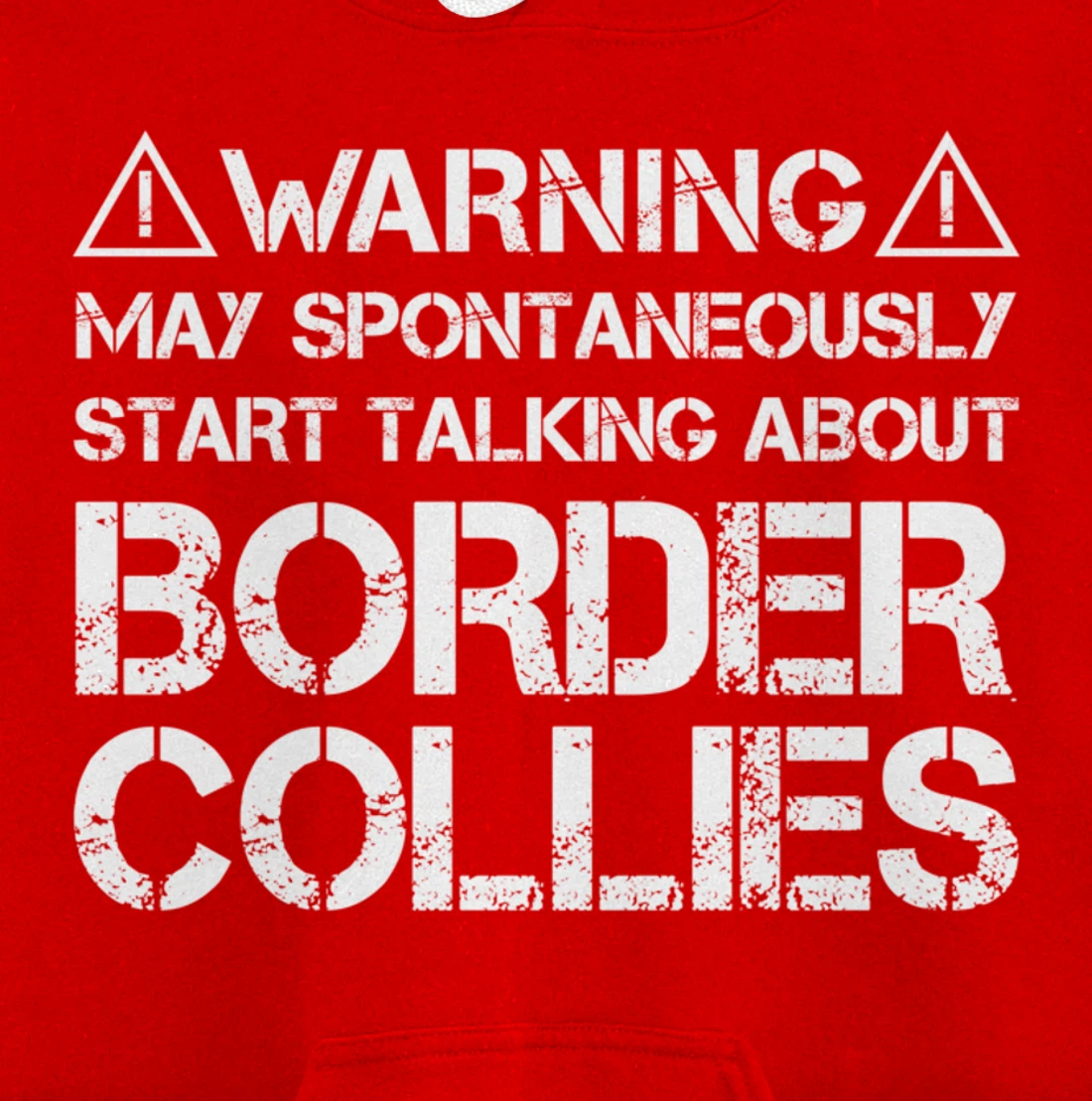 Warning May Start Talking About Border Collies Pullover Hoodie