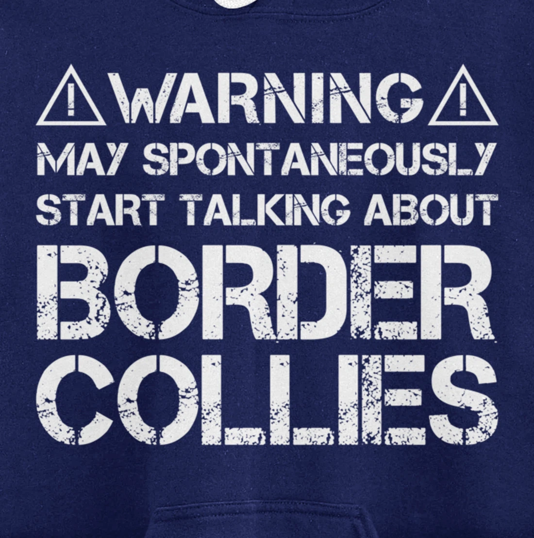 Warning May Start Talking About Border Collies Pullover Hoodie