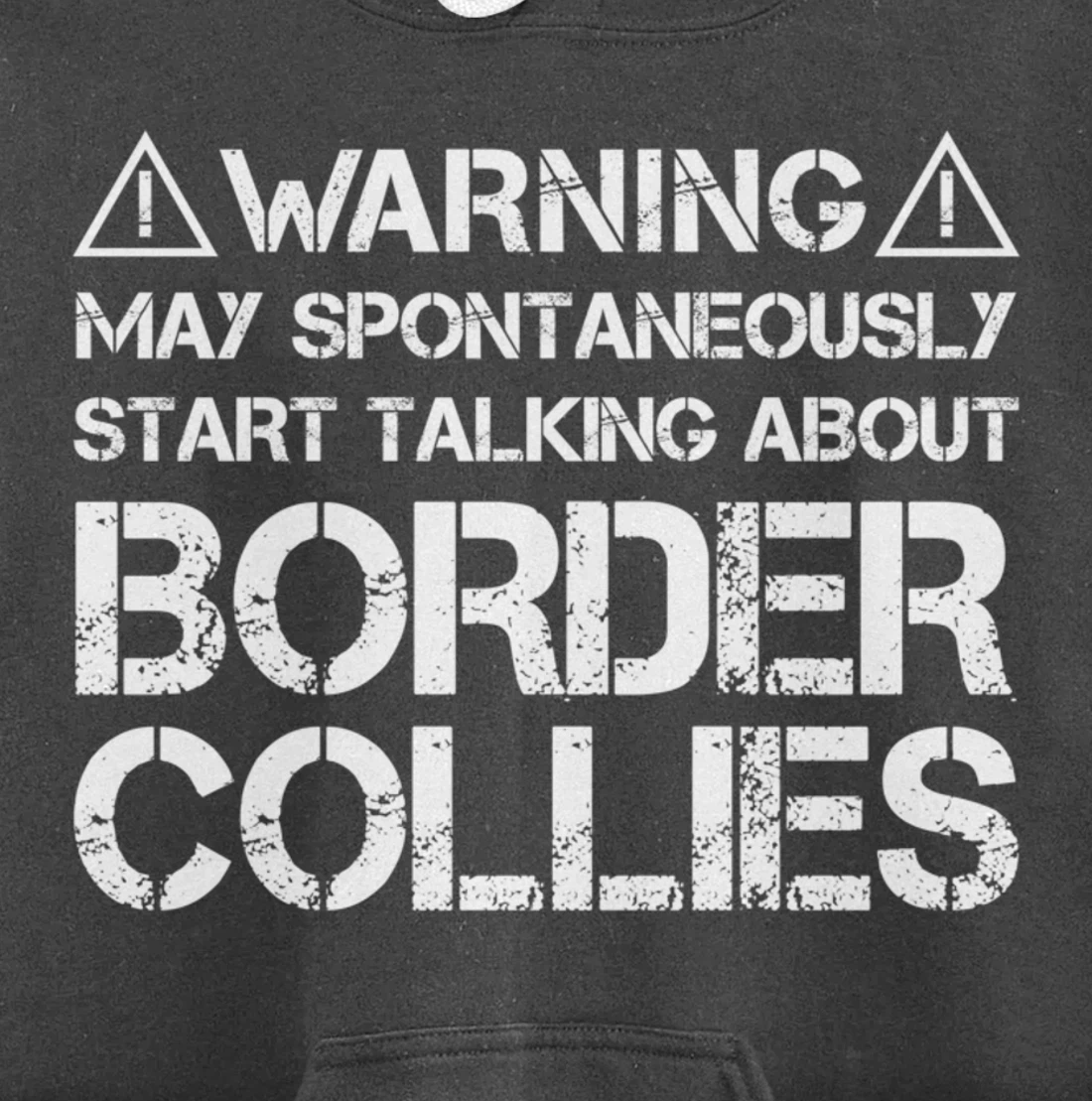 Warning May Start Talking About Border Collies Pullover Hoodie