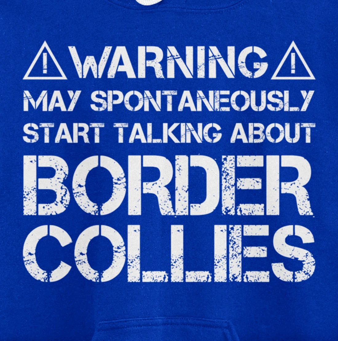 Warning May Start Talking About Border Collies Pullover Hoodie