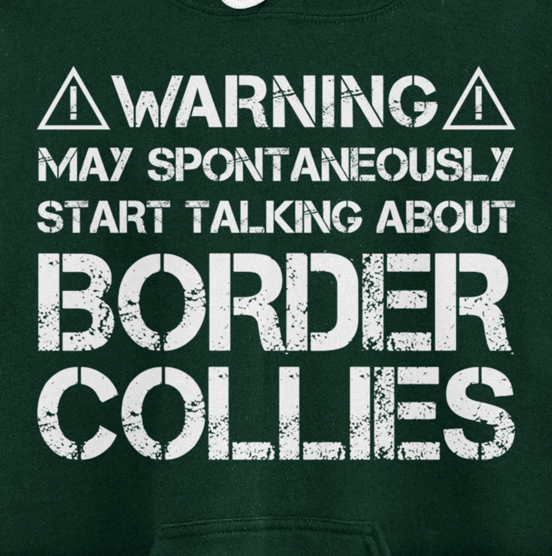 Warning May Start Talking About Border Collies Pullover Hoodie