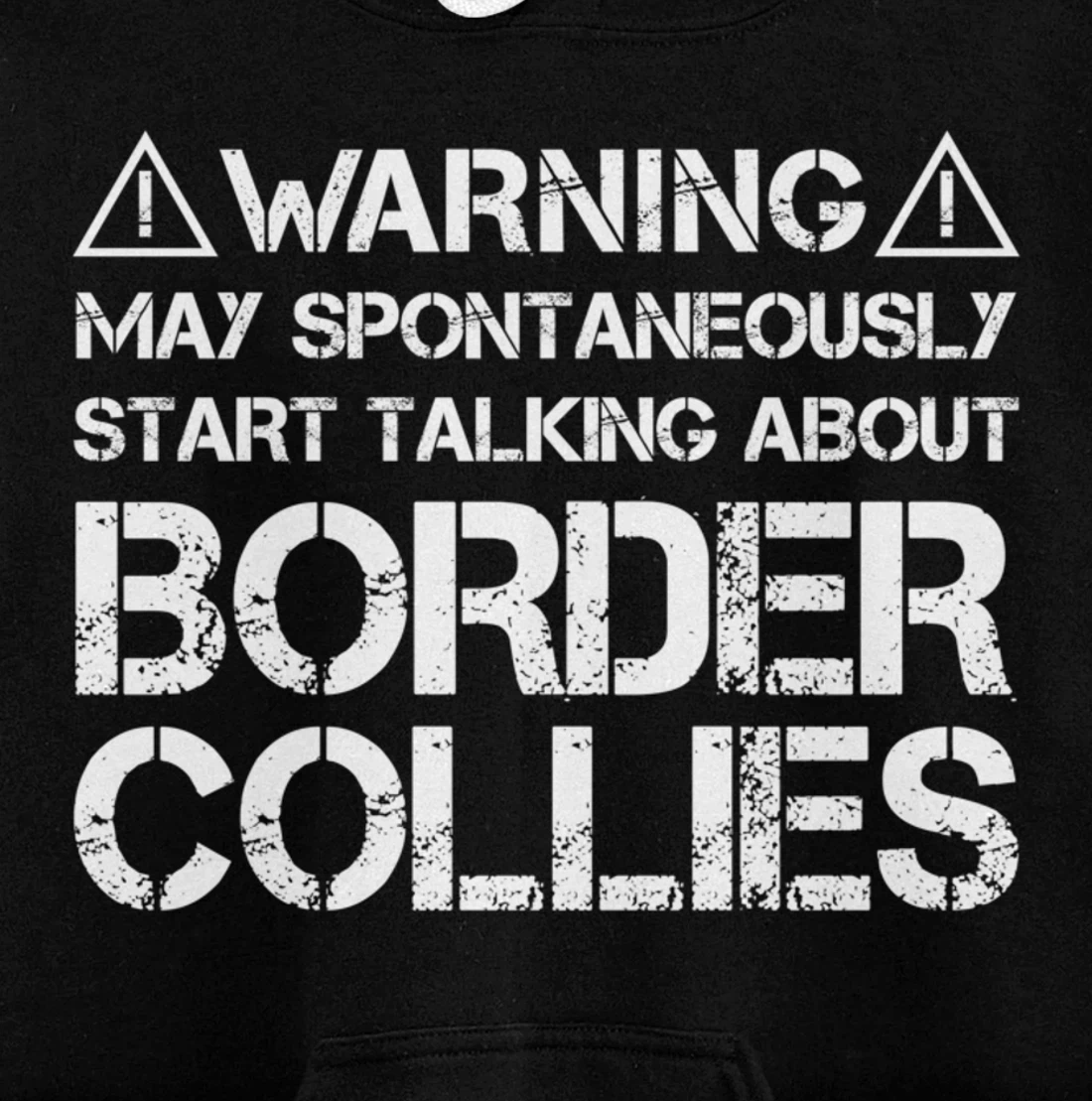Warning May Start Talking About Border Collies Pullover Hoodie
