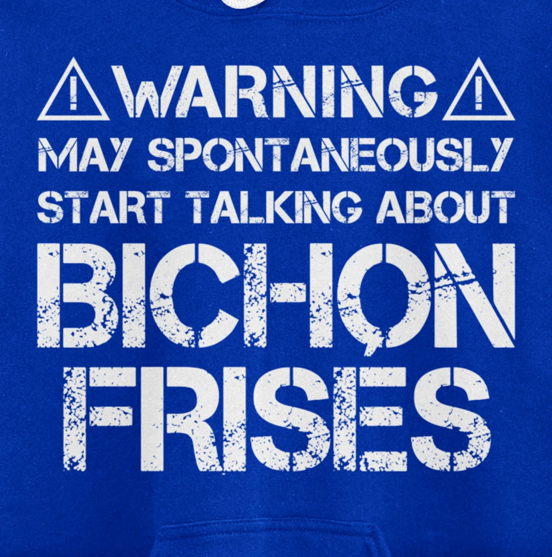 Warning May Start Talking About Bichon Frisés Pullover Hoodie