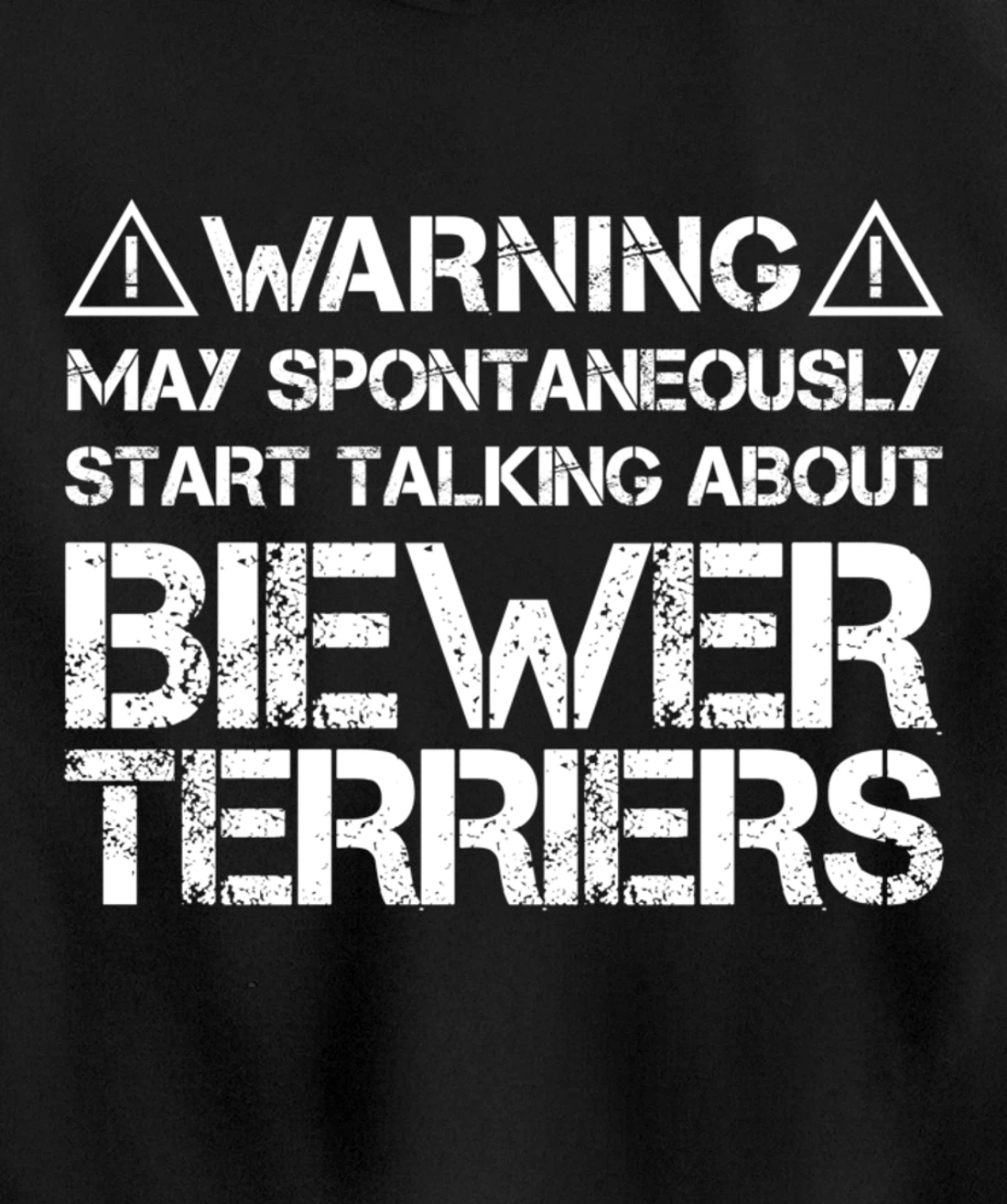 Warning May Start Talking About Biewer Terriers Pullover Hoodie
