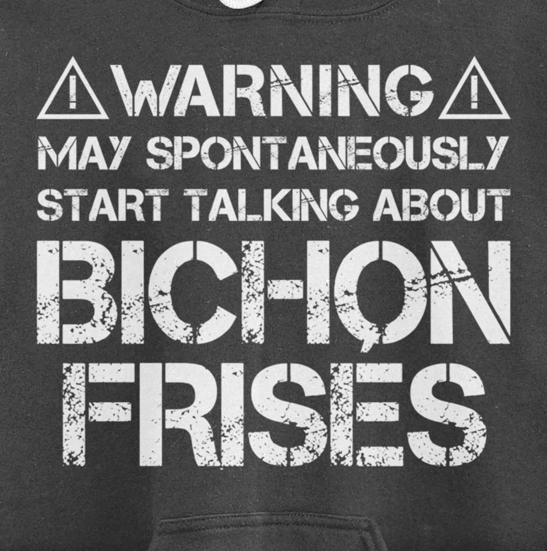 Warning May Start Talking About Bichon Frisés Pullover Hoodie