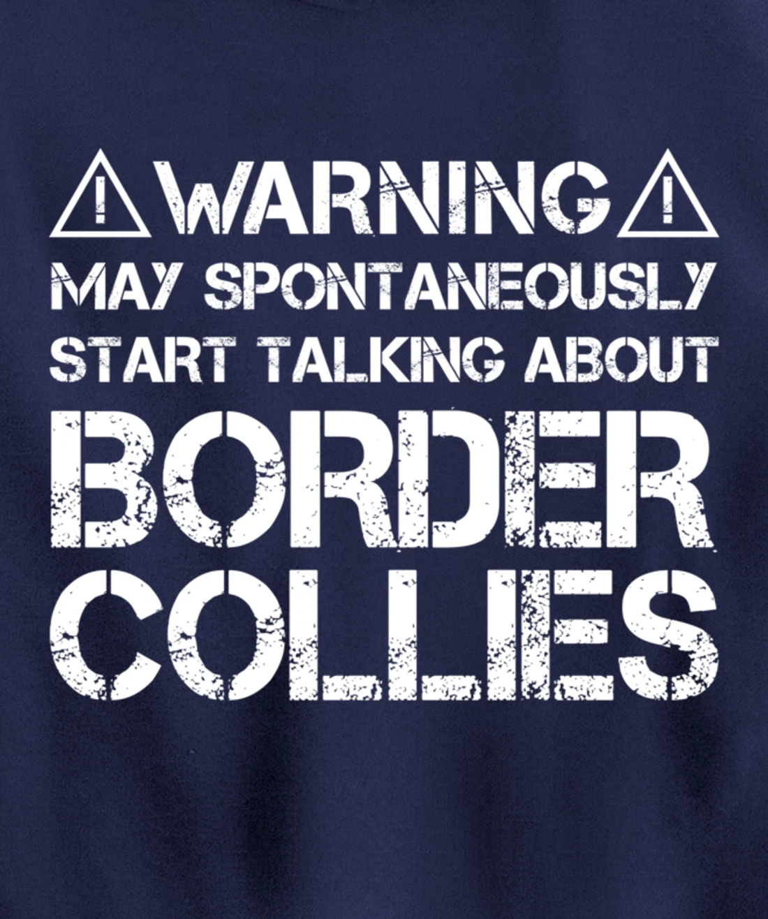 Warning May Start Talking About Border Collies Pullover Hoodie