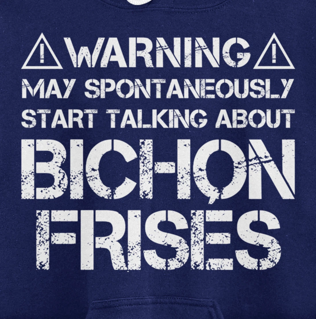Warning May Start Talking About Bichon Frisés Pullover Hoodie