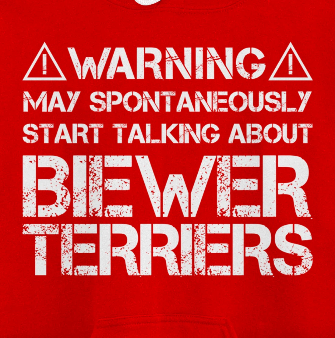 Warning May Start Talking About Biewer Terriers Pullover Hoodie