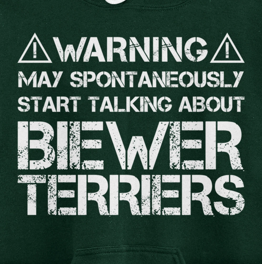 Warning May Start Talking About Biewer Terriers Pullover Hoodie