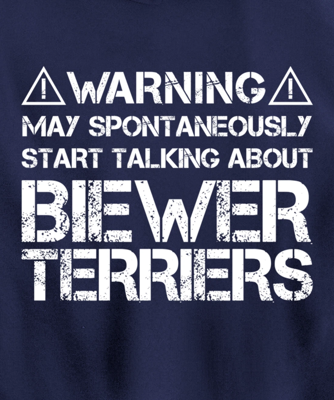 Warning May Start Talking About Biewer Terriers Pullover Hoodie