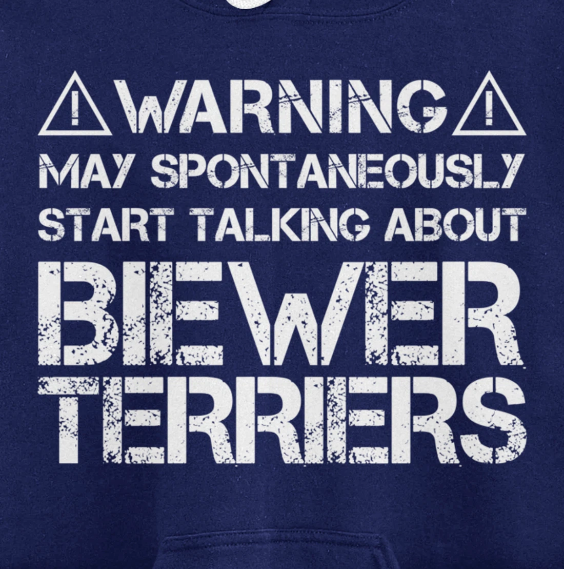 Warning May Start Talking About Biewer Terriers Pullover Hoodie