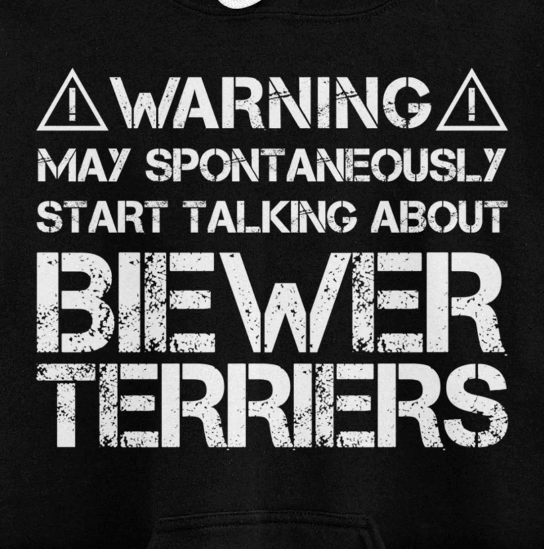 Warning May Start Talking About Biewer Terriers Pullover Hoodie