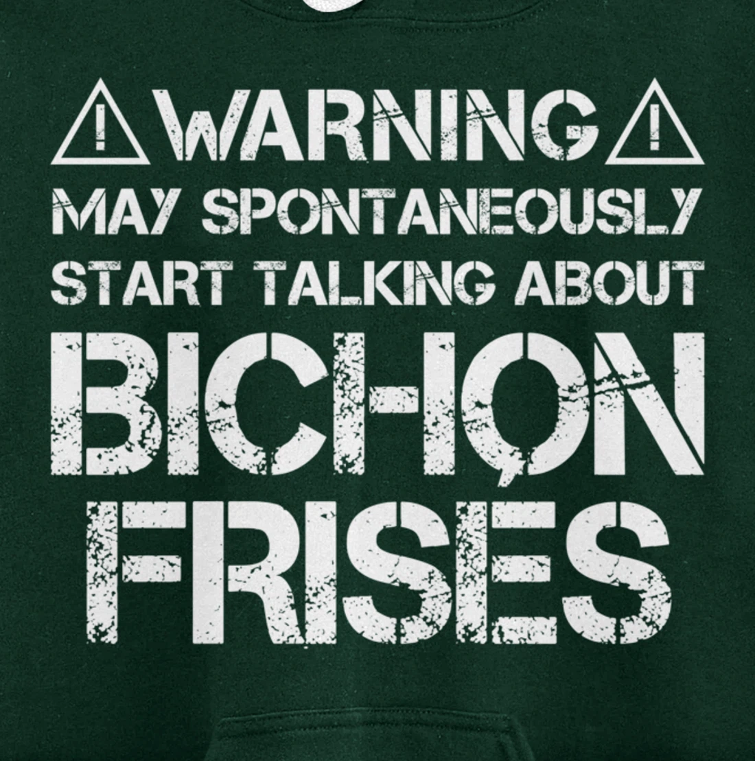 Warning May Start Talking About Bichon Frisés Pullover Hoodie