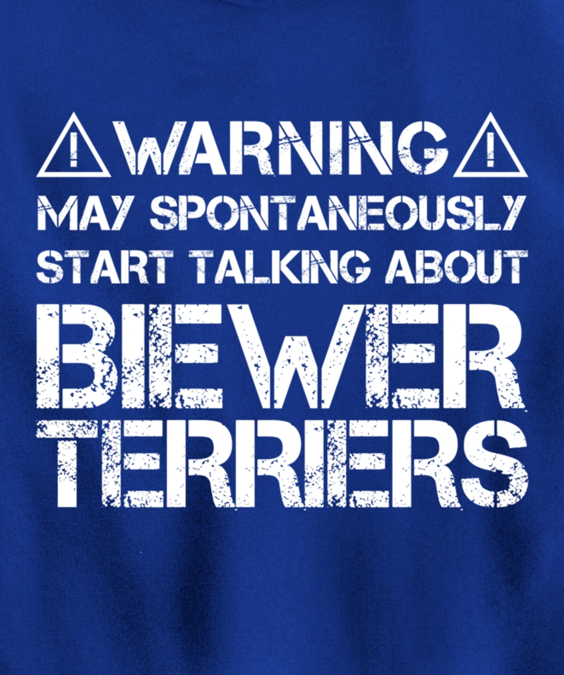 Warning May Start Talking About Biewer Terriers Pullover Hoodie