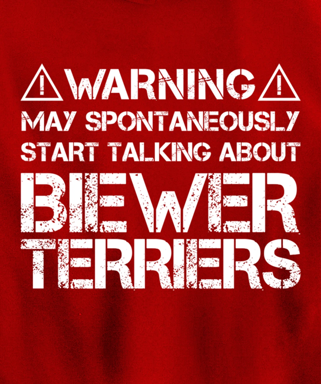 Warning May Start Talking About Biewer Terriers Pullover Hoodie