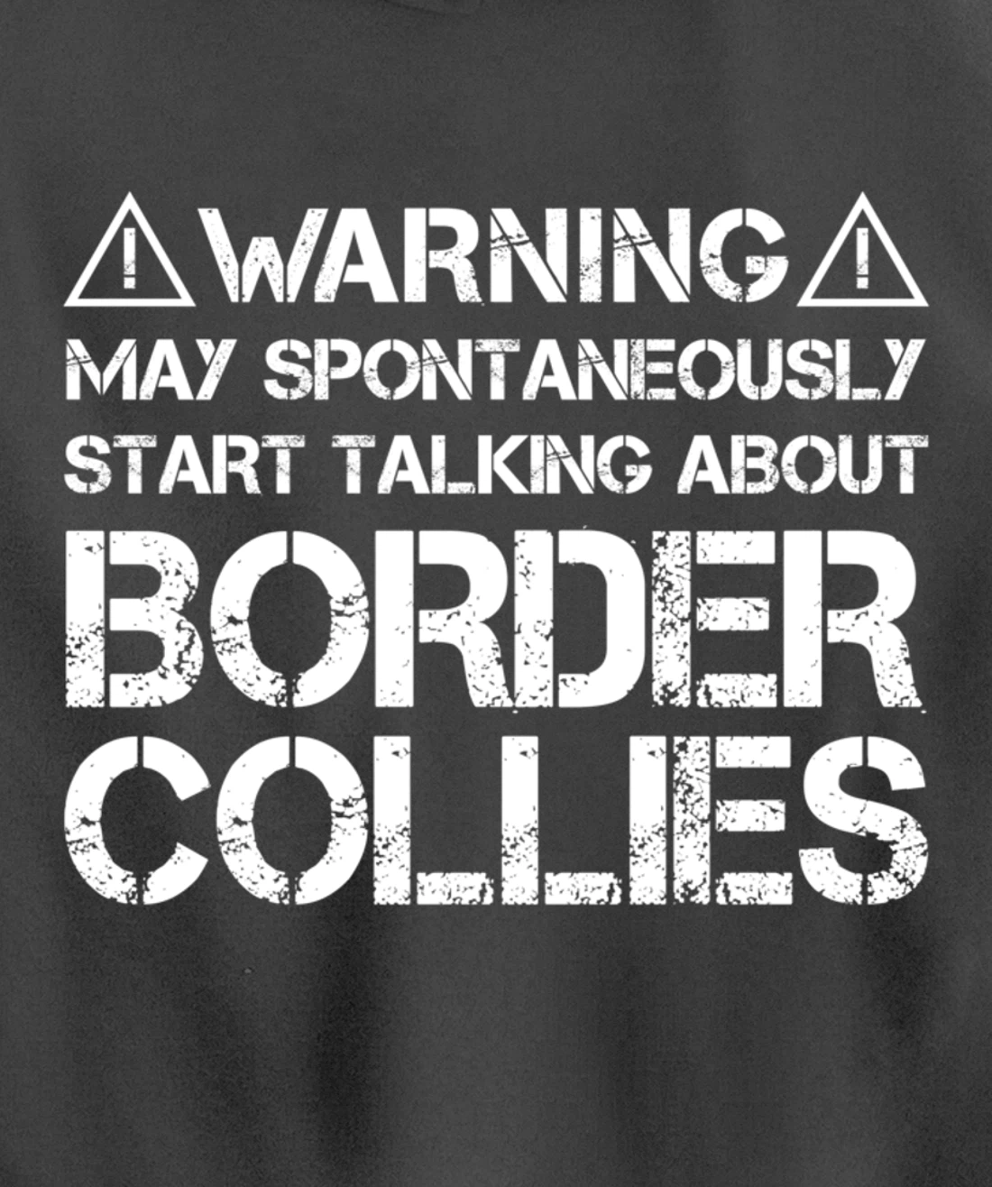 Warning May Start Talking About Border Collies Pullover Hoodie
