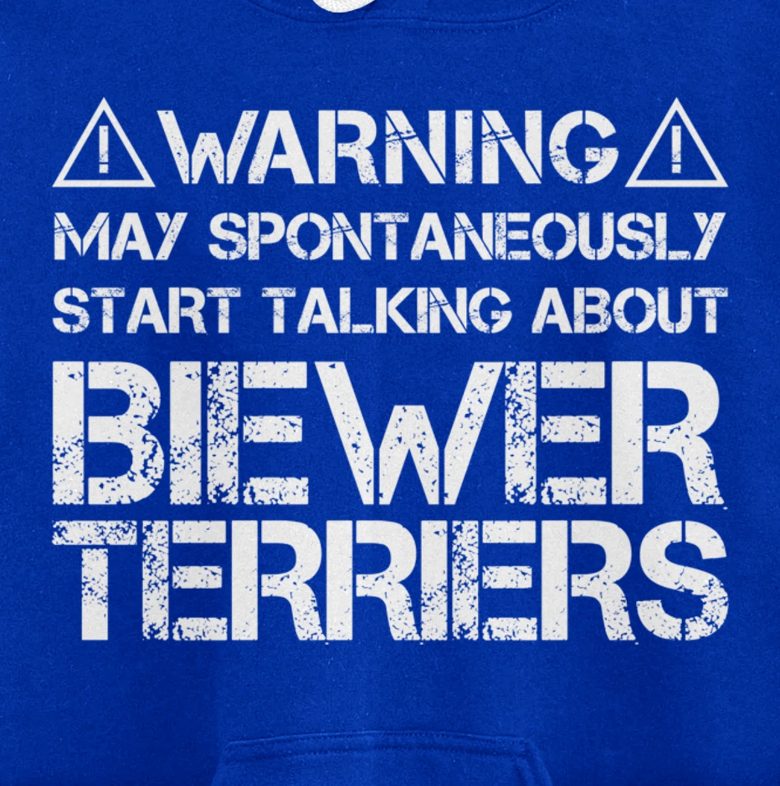 Warning May Start Talking About Biewer Terriers Pullover Hoodie