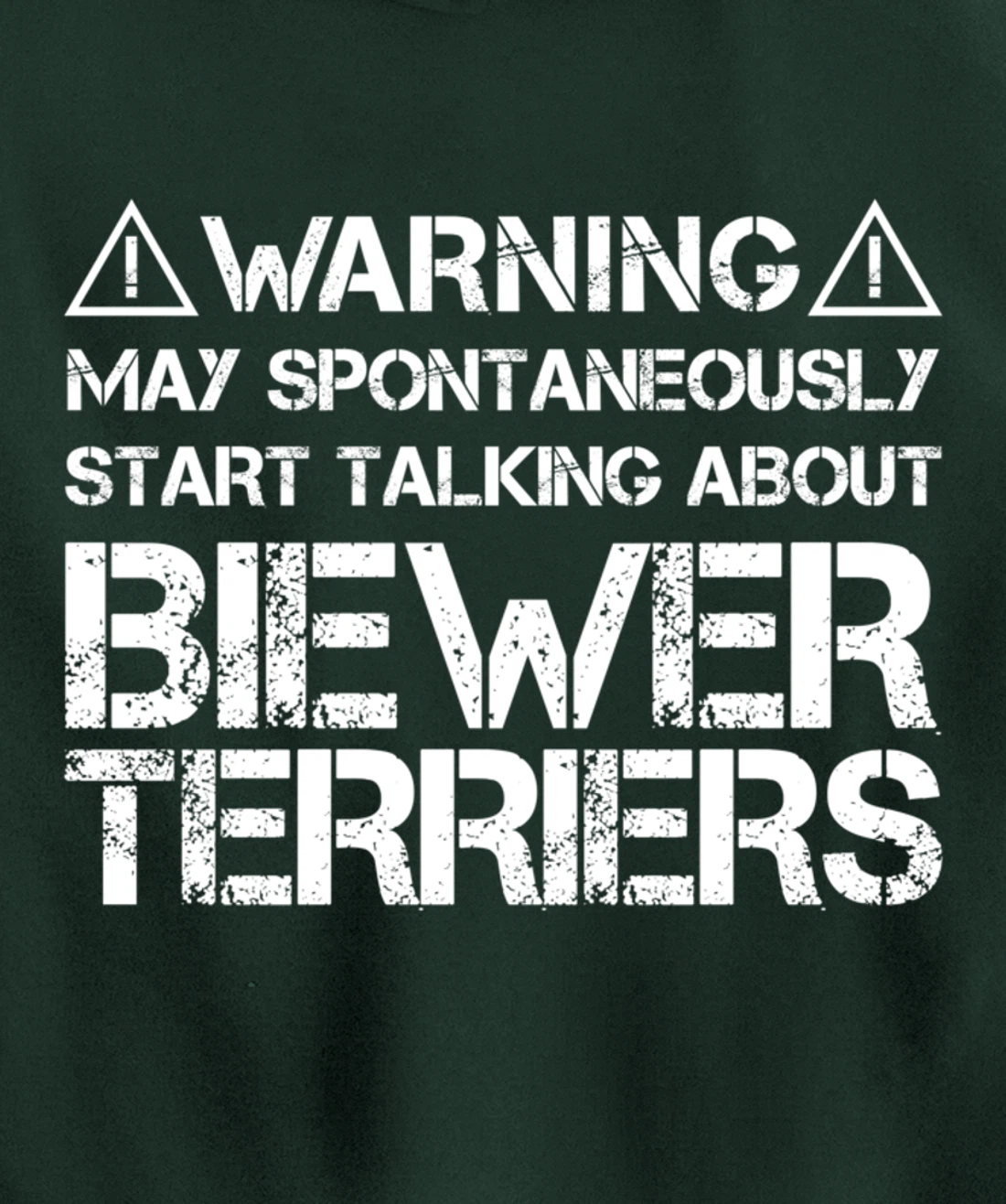 Warning May Start Talking About Biewer Terriers Pullover Hoodie