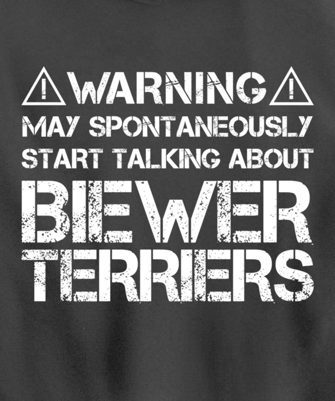 Warning May Start Talking About Biewer Terriers Pullover Hoodie