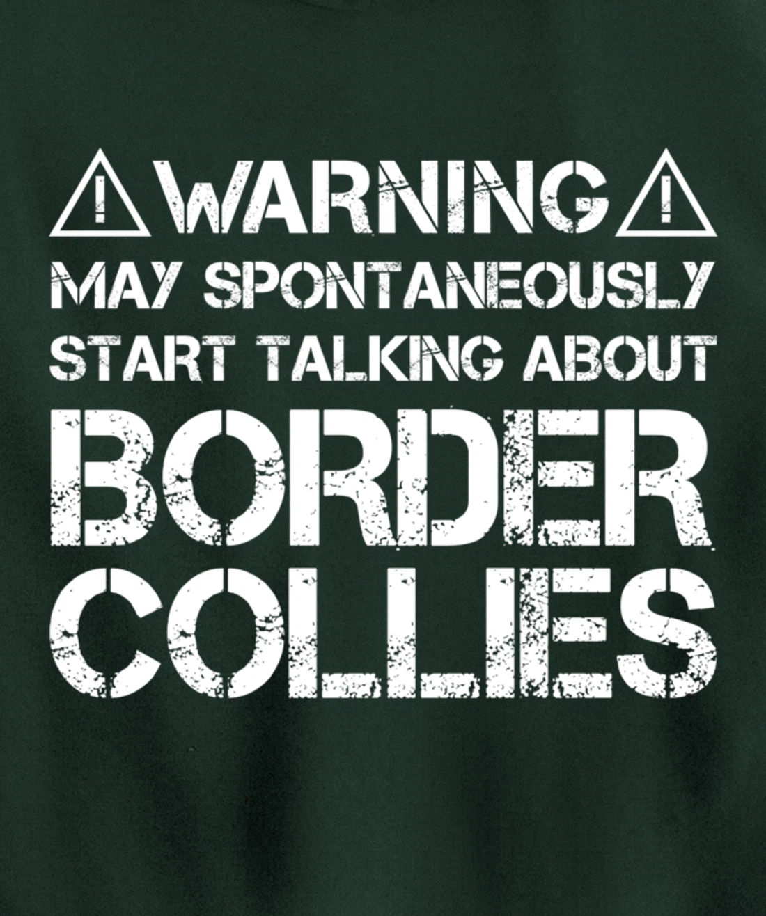 Warning May Start Talking About Border Collies Pullover Hoodie