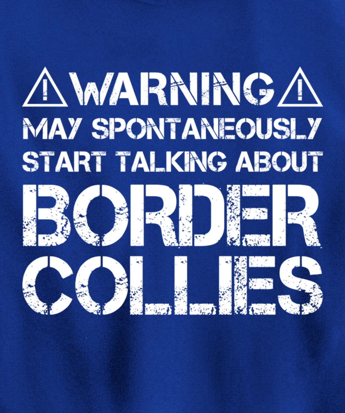 Warning May Start Talking About Border Collies Pullover Hoodie