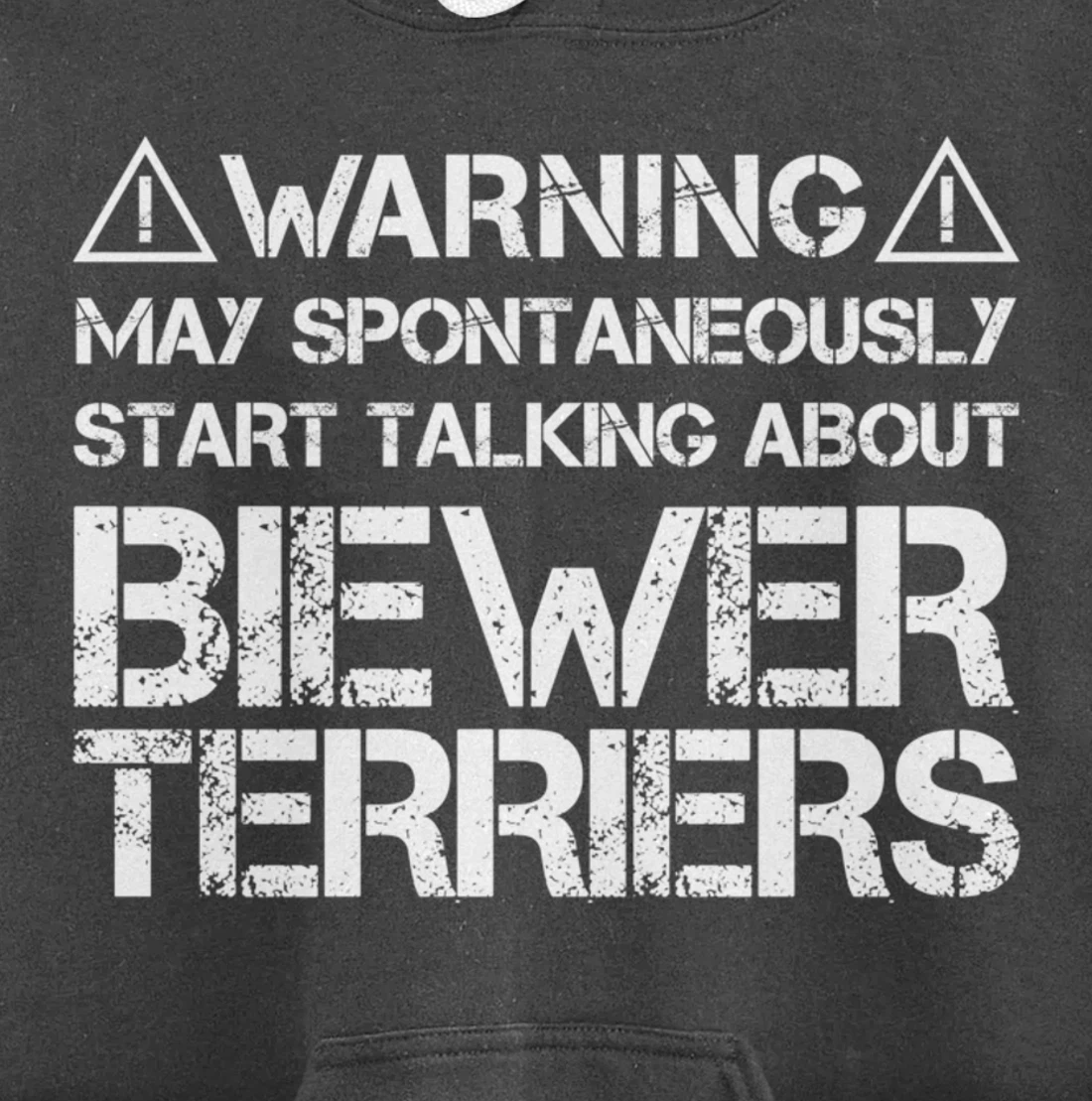 Warning May Start Talking About Biewer Terriers Pullover Hoodie