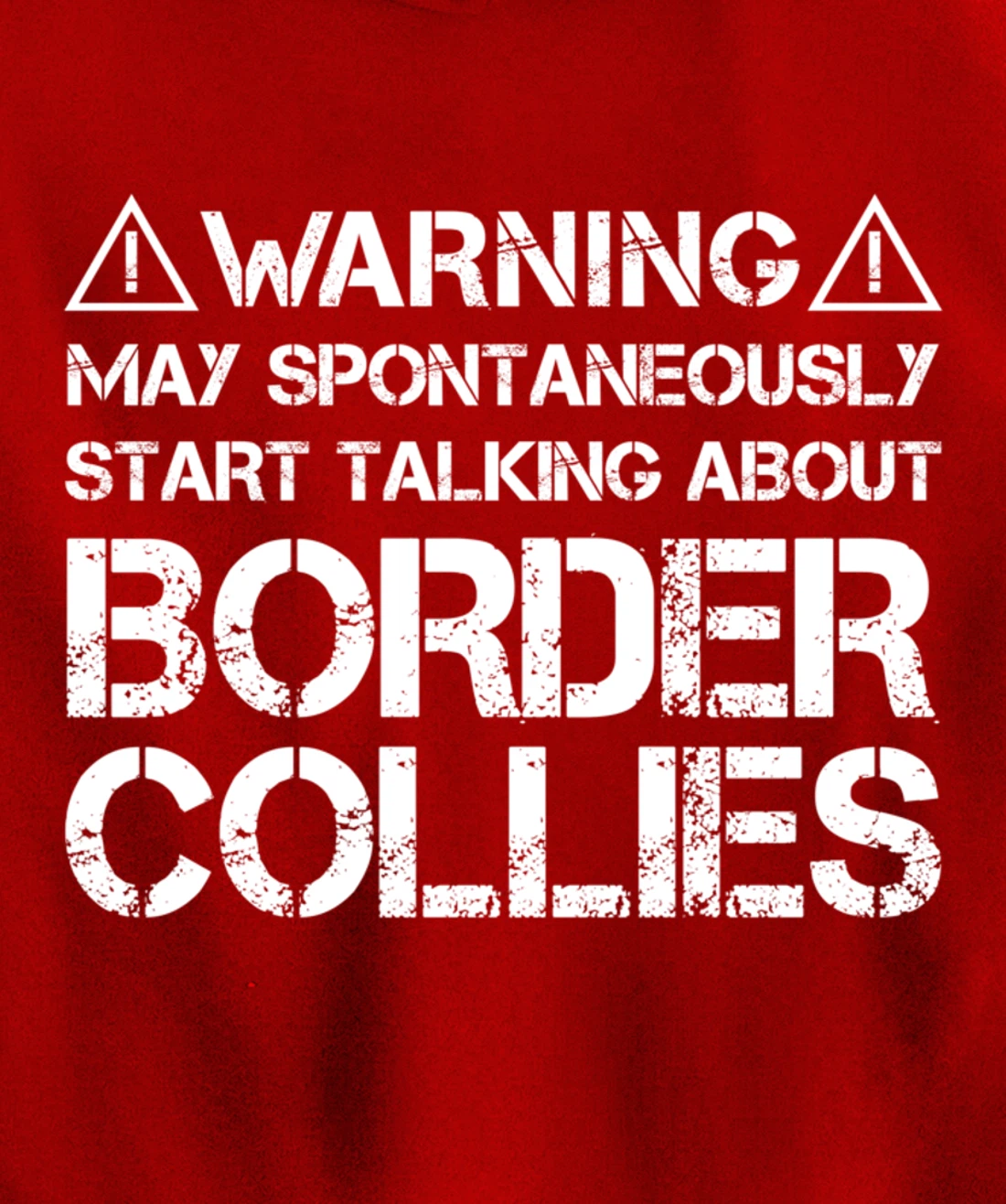 Warning May Start Talking About Border Collies Pullover Hoodie