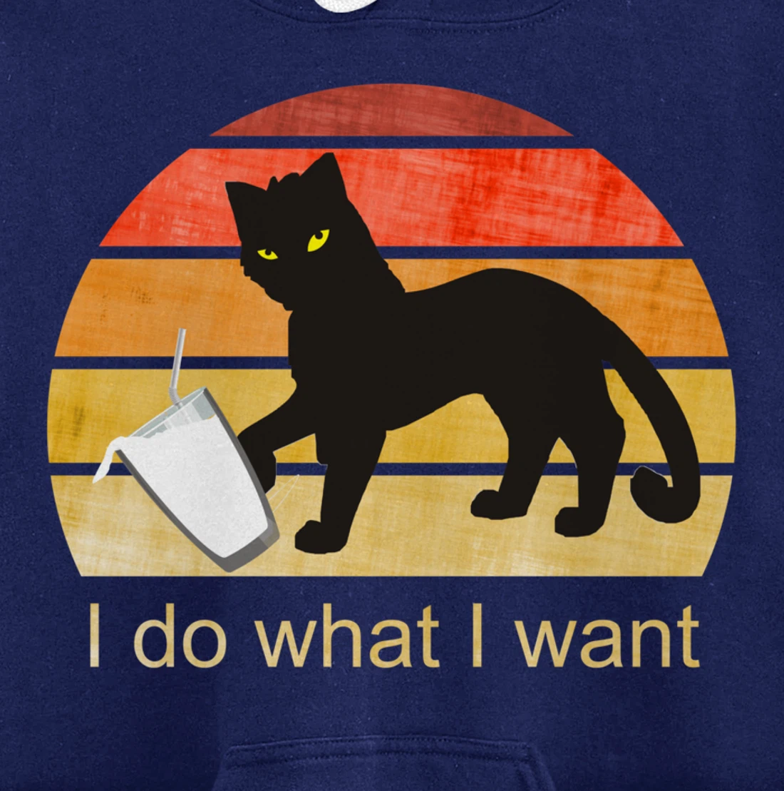I DO WHAT I WANT CAT, CAT, RETRO CAT LOVER, VINTAGE Pullover Hoodie