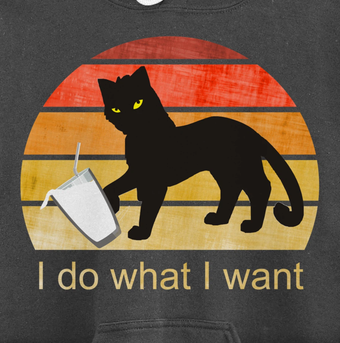 I DO WHAT I WANT CAT, CAT, RETRO CAT LOVER, VINTAGE Pullover Hoodie