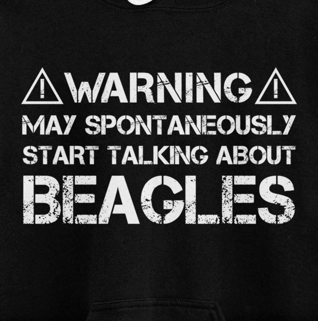 Warning May Start Talking About Beagles Pullover Hoodie