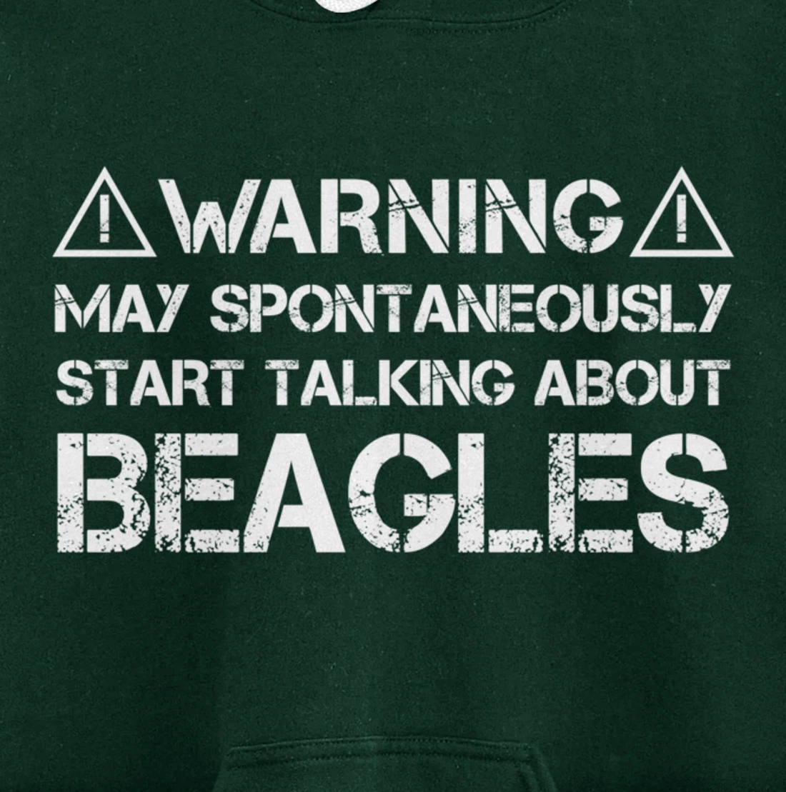 Warning May Start Talking About Beagles Pullover Hoodie