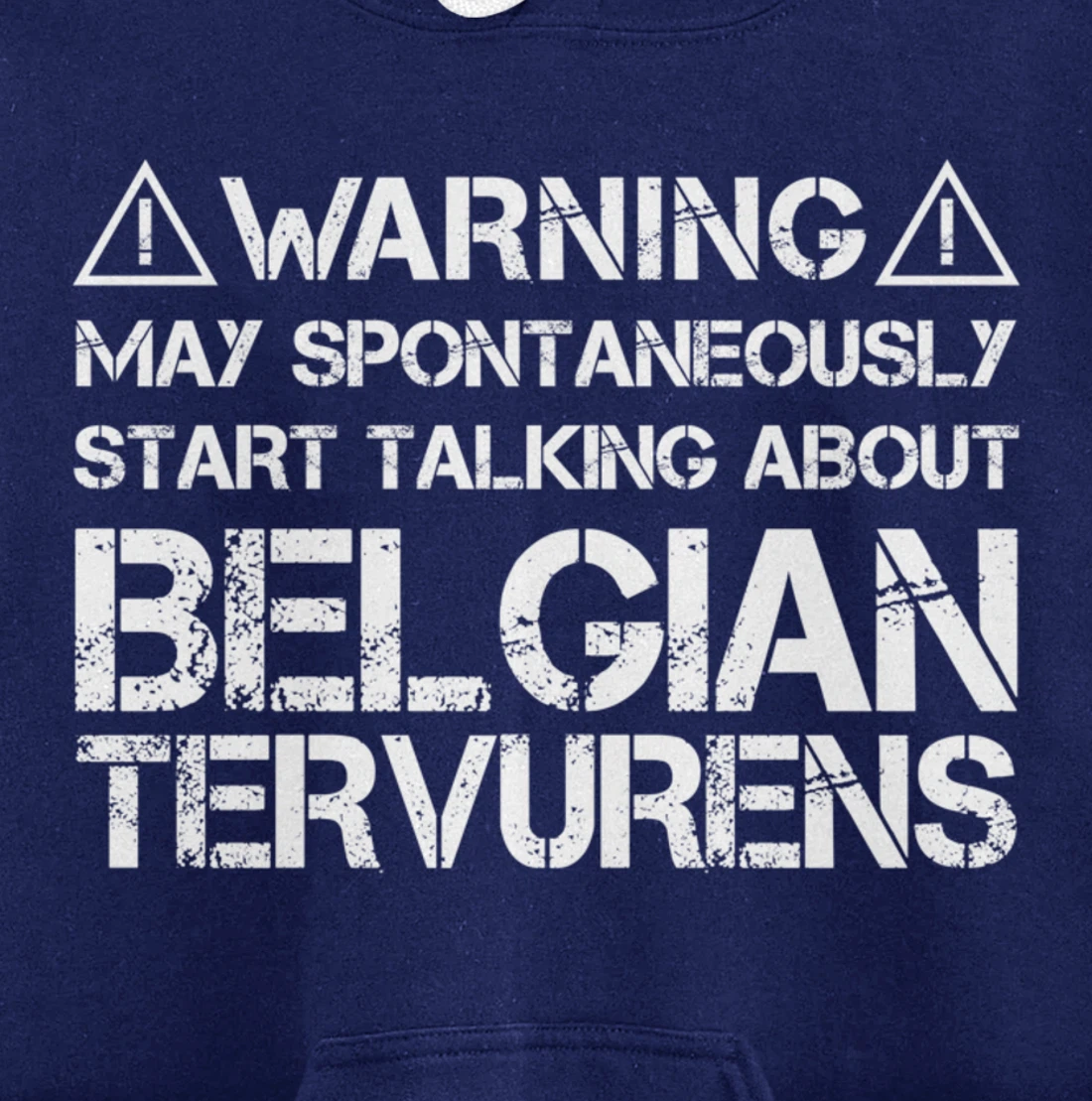 Warning May Start Talking About Belgian Tervurens Pullover Hoodie