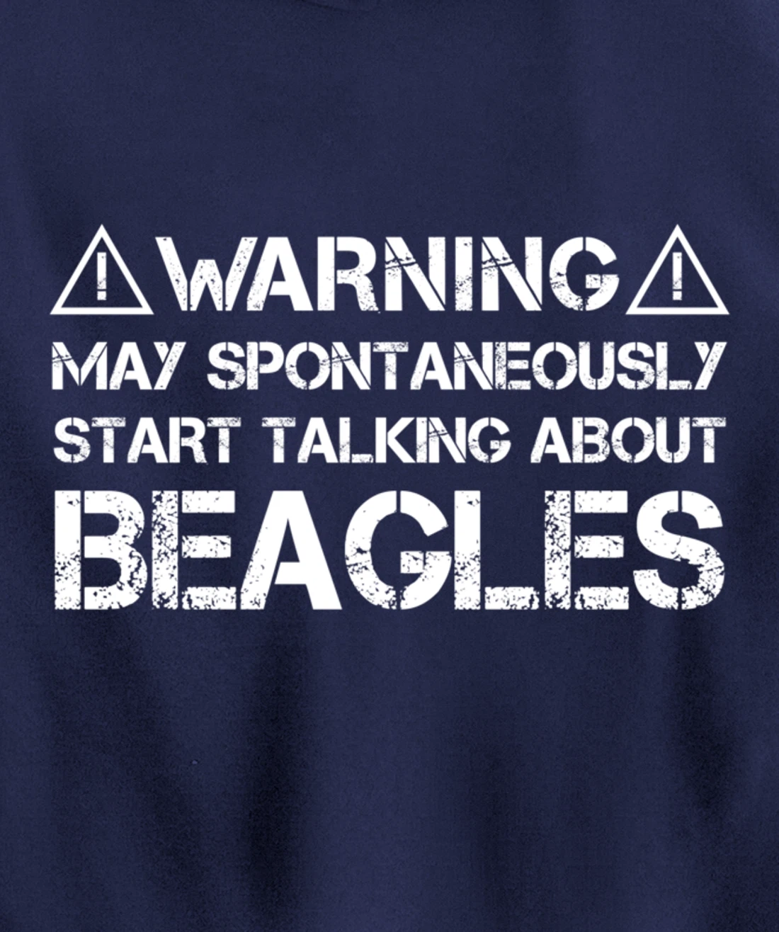 Warning May Start Talking About Beagles Pullover Hoodie
