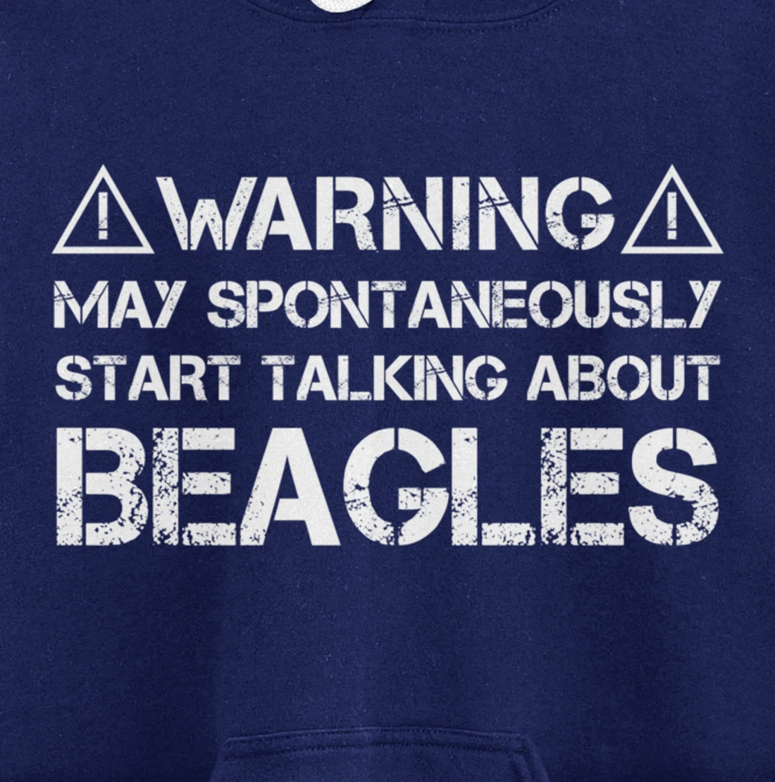 Warning May Start Talking About Beagles Pullover Hoodie
