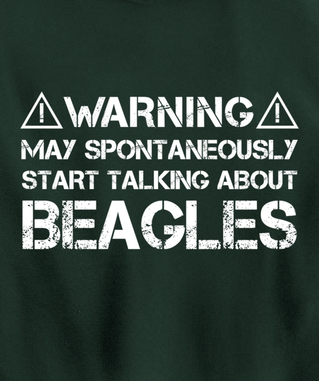 Warning May Start Talking About Beagles Pullover Hoodie