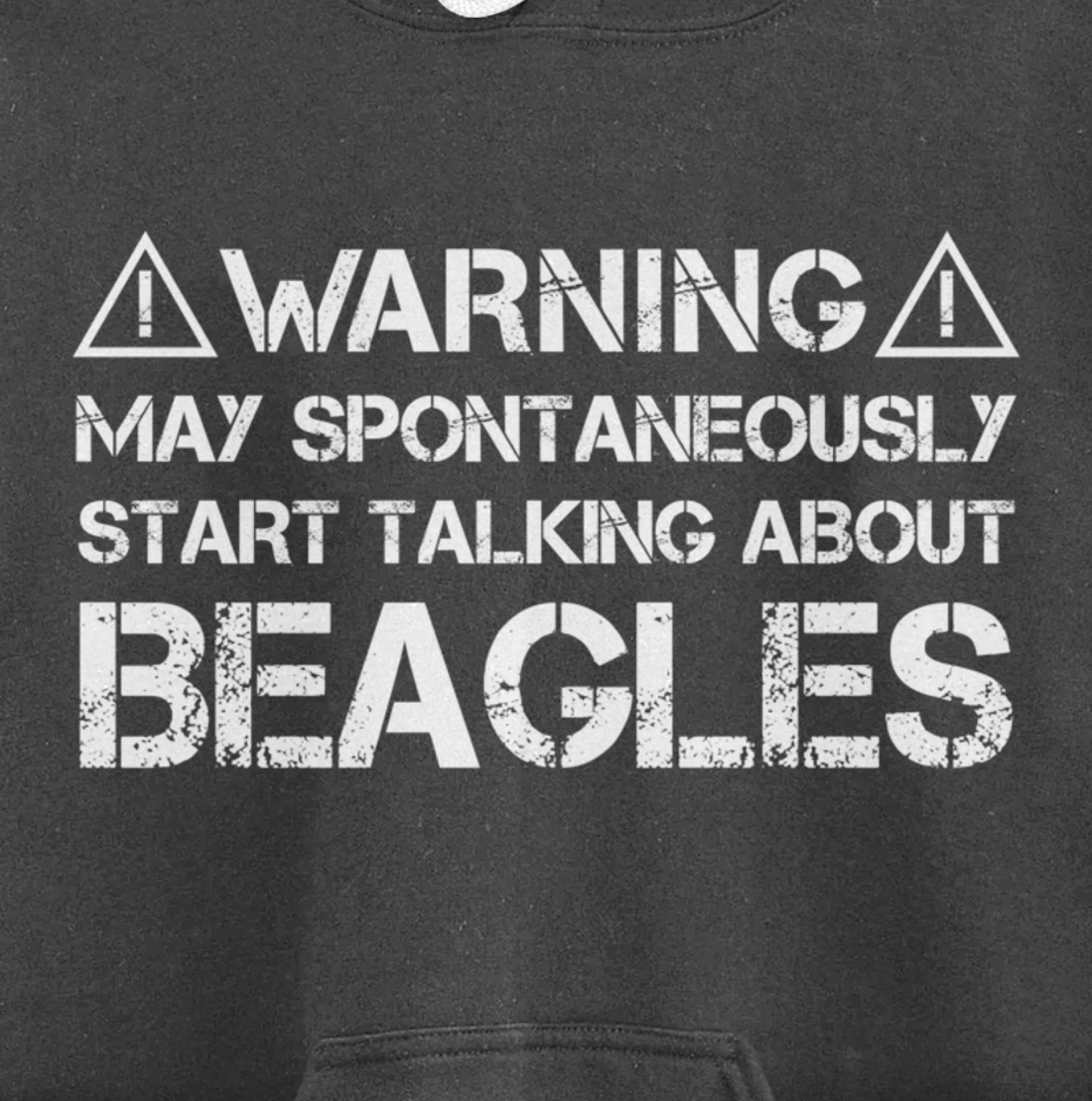 Warning May Start Talking About Beagles Pullover Hoodie