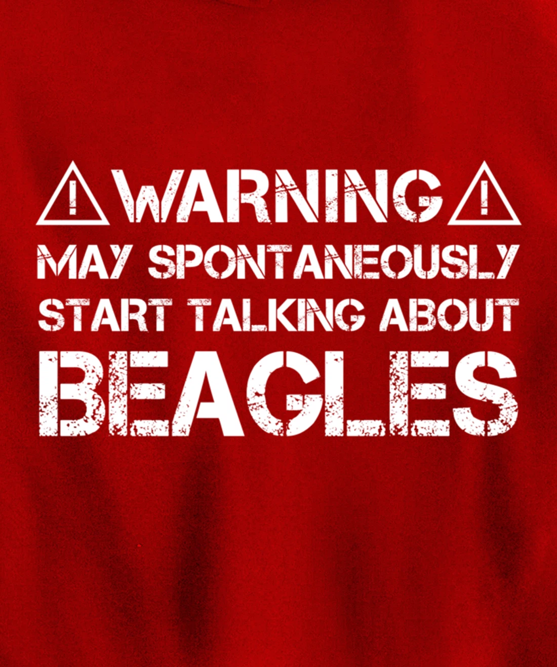 Warning May Start Talking About Beagles Pullover Hoodie