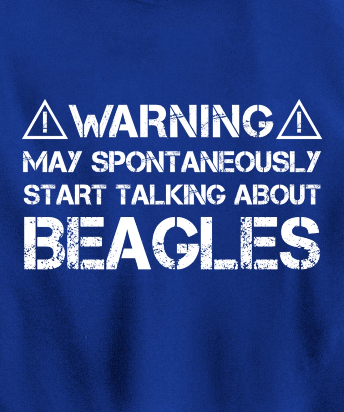 Warning May Start Talking About Beagles Pullover Hoodie