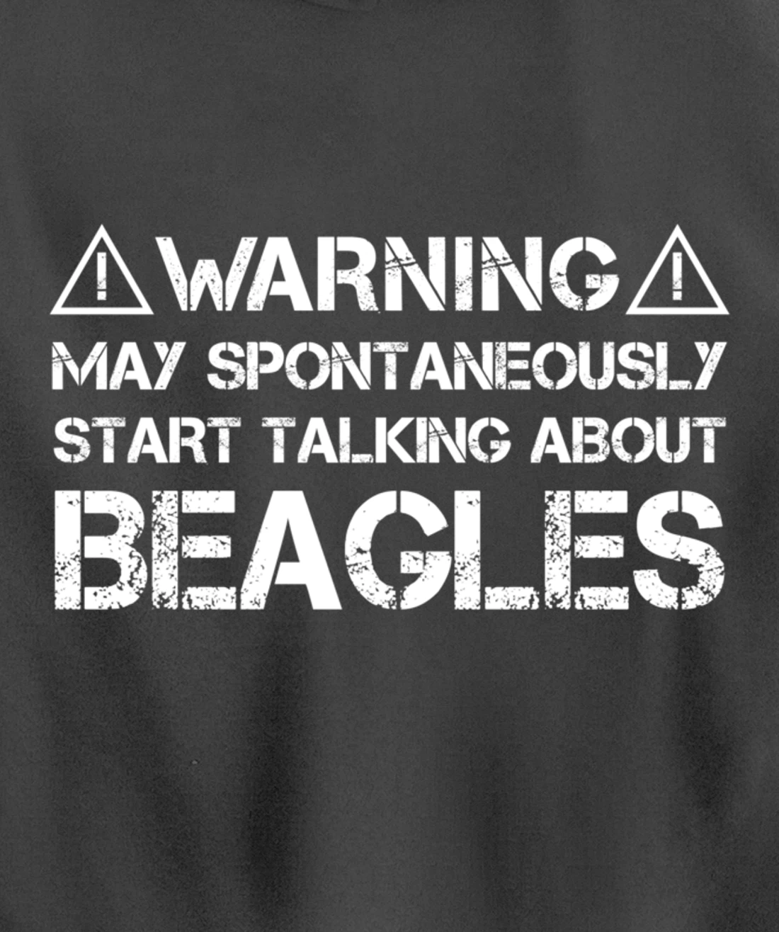 Warning May Start Talking About Beagles Pullover Hoodie