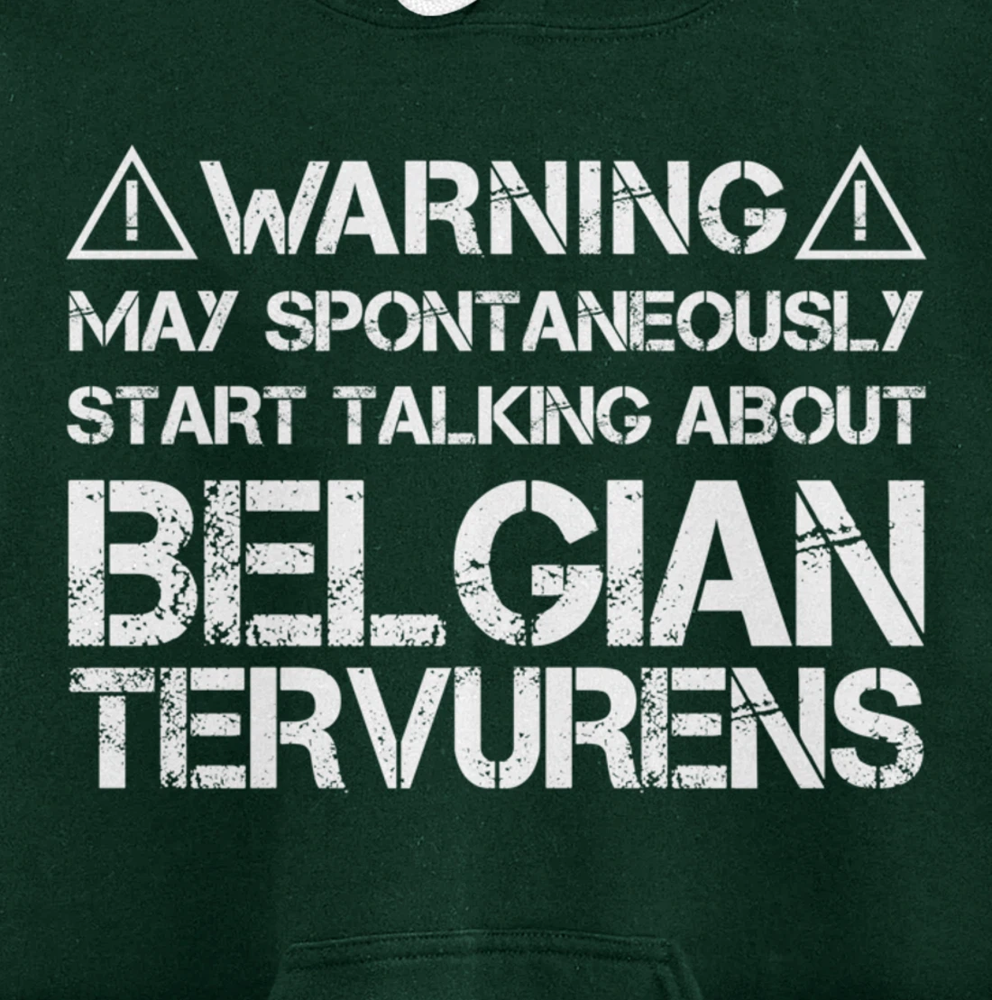 Warning May Start Talking About Belgian Tervurens Pullover Hoodie
