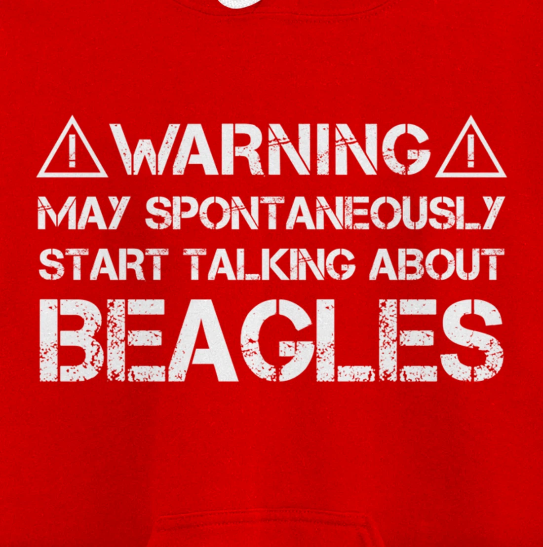Warning May Start Talking About Beagles Pullover Hoodie