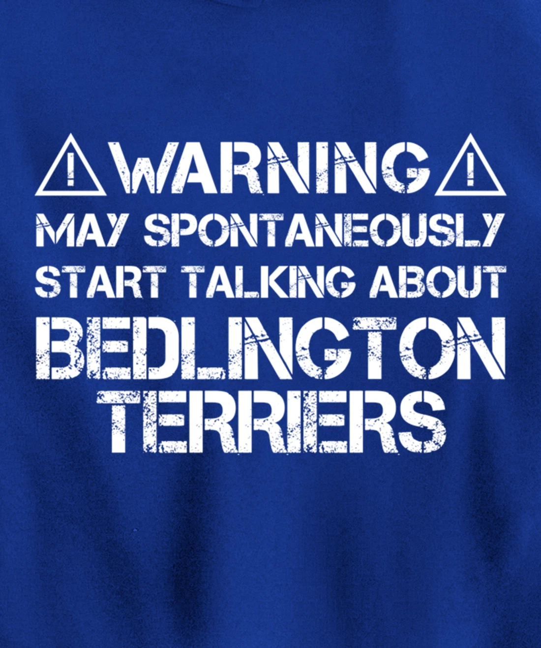 Warning May Start Talking About Bedlington Terriers Pullover Hoodie