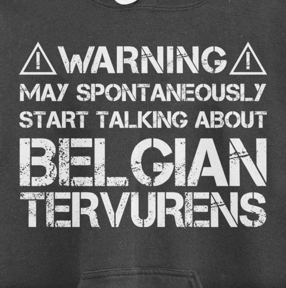Warning May Start Talking About Belgian Tervurens Pullover Hoodie