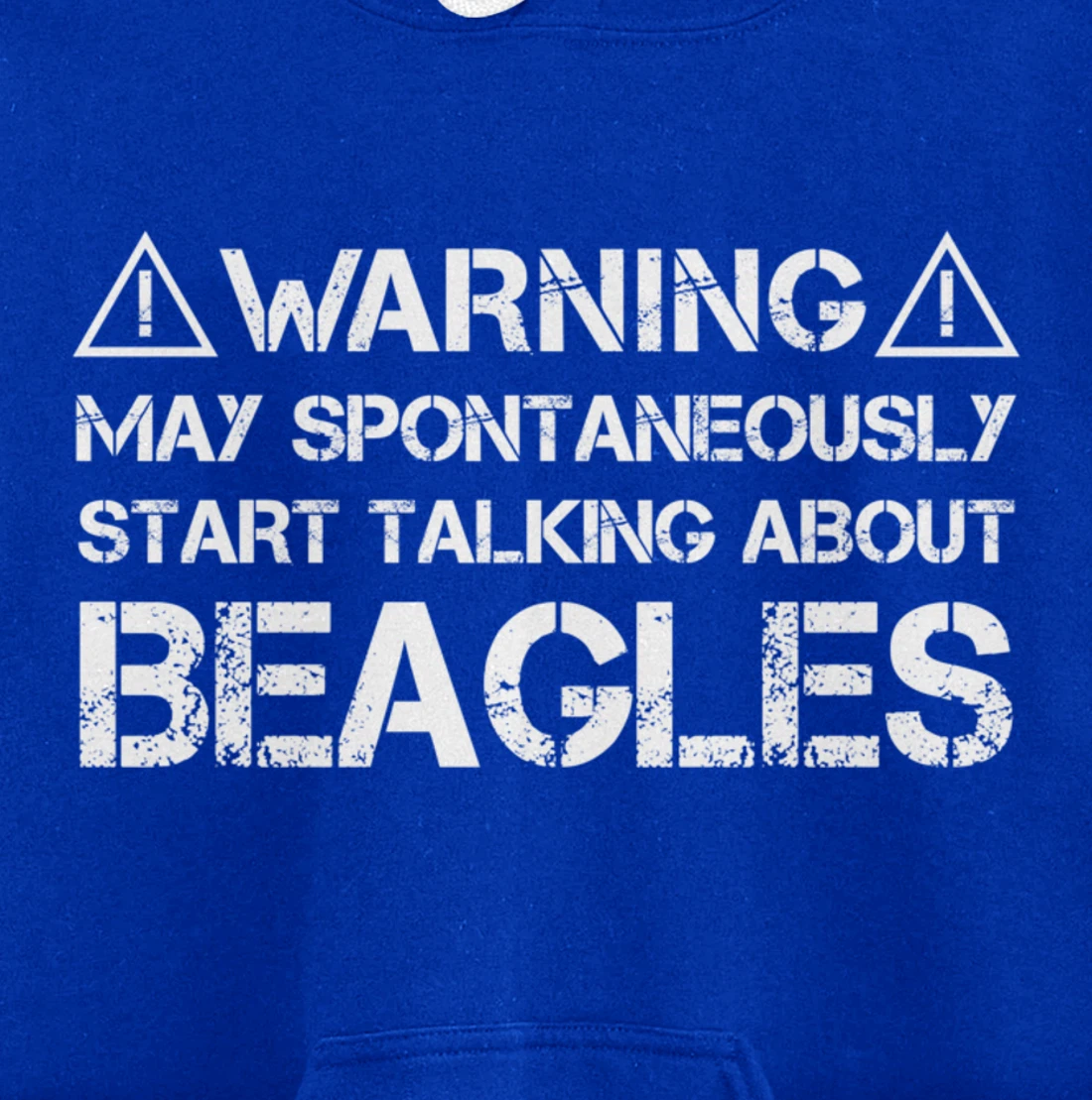 Warning May Start Talking About Beagles Pullover Hoodie