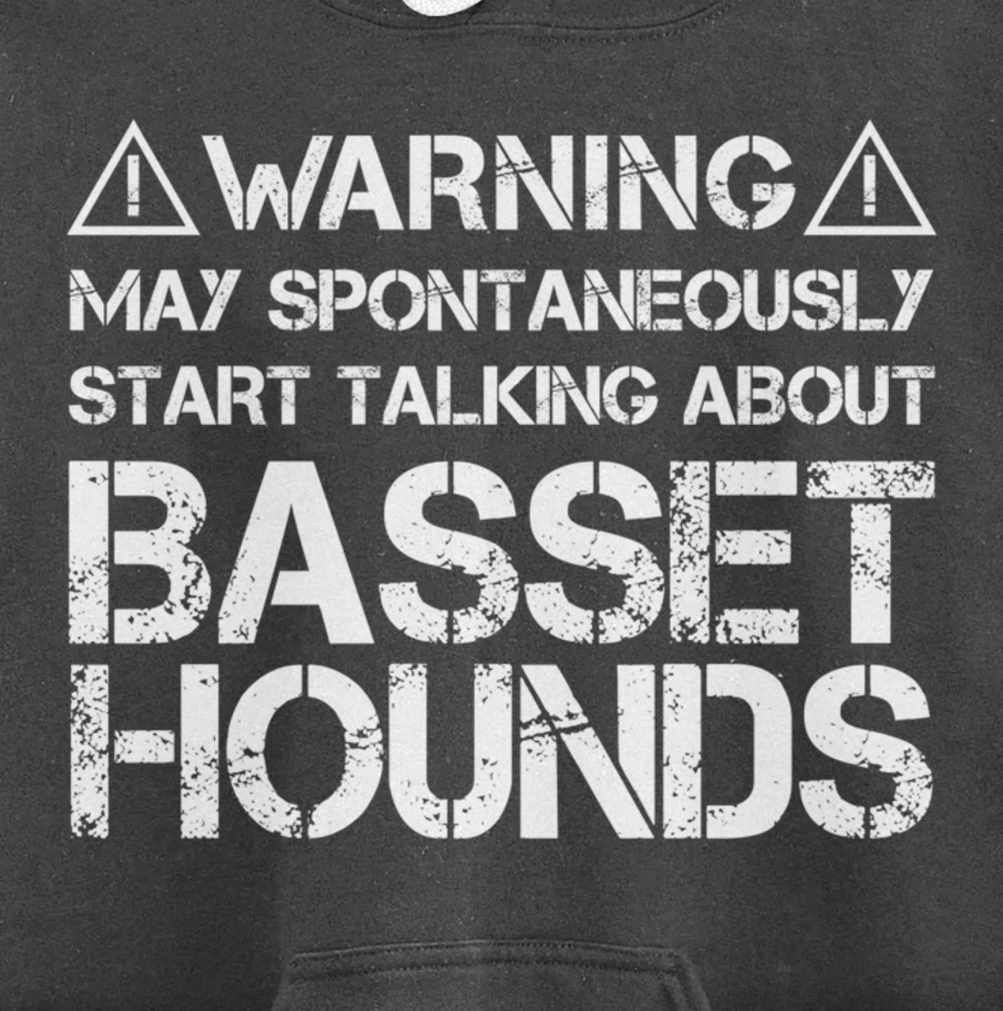 Warning May Start Talking About Basset Hounds Pullover Hoodie
