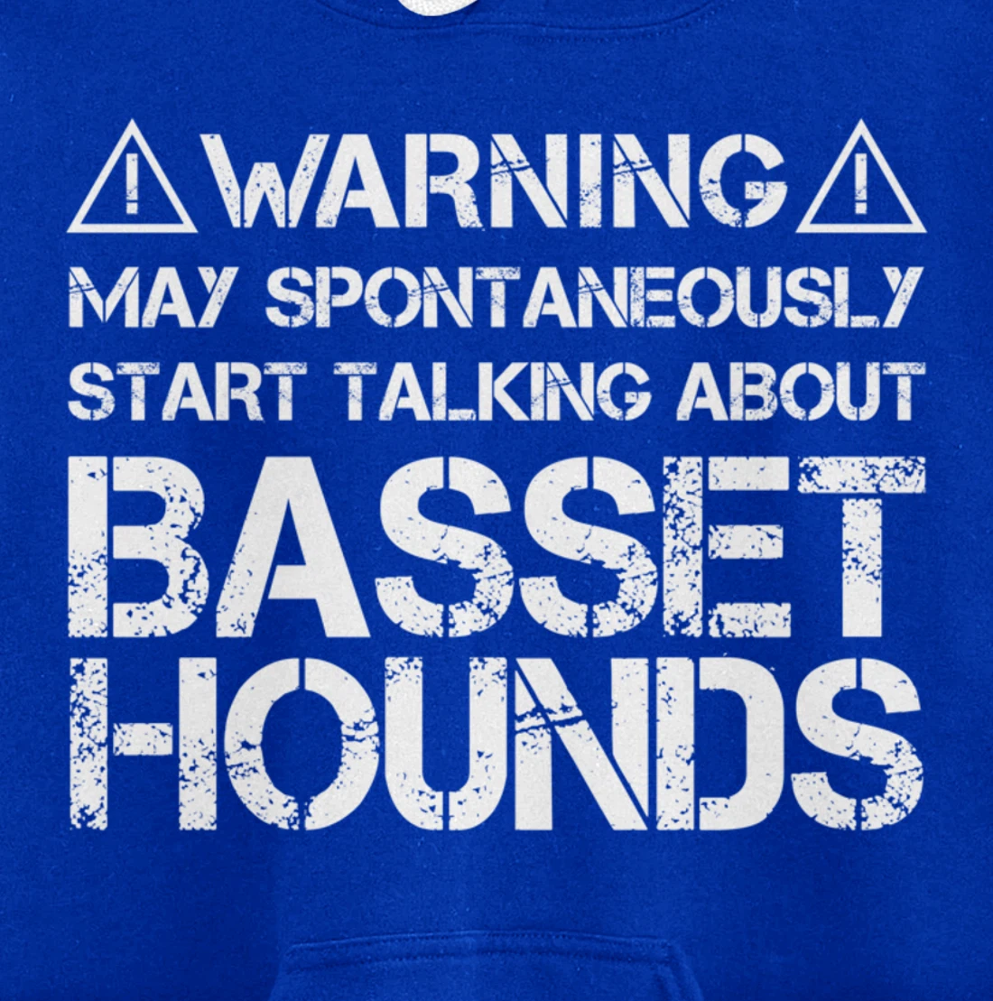 Warning May Start Talking About Basset Hounds Pullover Hoodie
