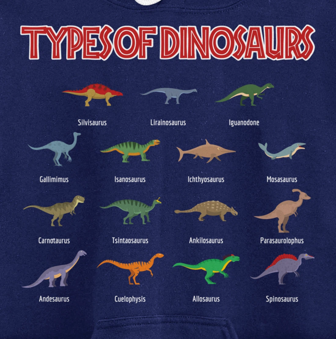 Dinosaur species identification of dinosaur species Pullover Hoodie