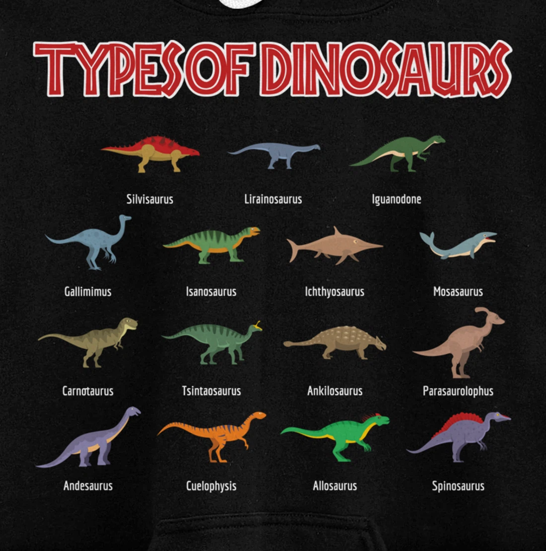 Dinosaur species identification of dinosaur species Pullover Hoodie